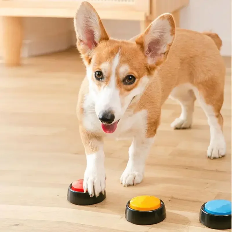 صندوق صوت للحيوانات الأليفة، ز - مراجعة Interactive Squeaky Plush Dog Toy وسعره