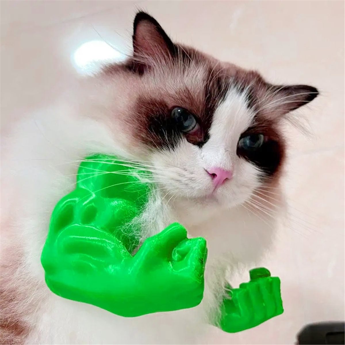مجموعة قلادة ذراع قطة عضلية جد - مراجعة Cat Toys وسعره